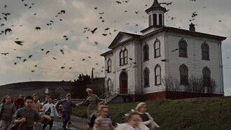 The Birds Trailer