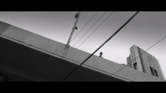 The Black Trailer