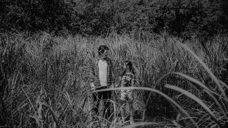 The Black Dog Trailer