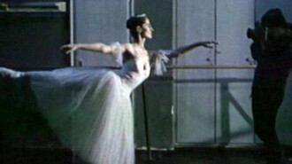 The Black Swans Trailer