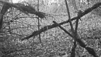 The Blair Witch Project Trailer