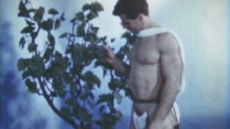 The Blue Rose Trailer