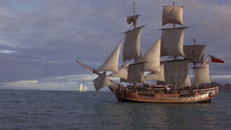 The Bounty Trailer