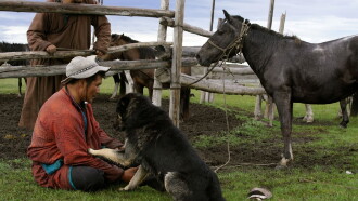 The Bounty Hunter of Mongolia Trailer
