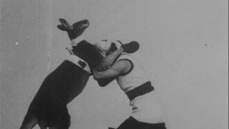 The Boxing Kangaroo Trailer