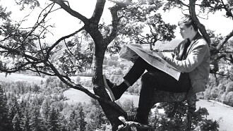 The Boy in the Tree Trailer
