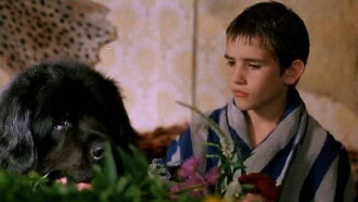 The Boy with the Big Black Dog Trailer