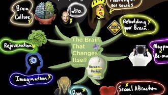 The Brain That Changes Itself Trailer