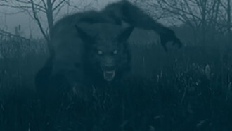 The Bray Road Beast Trailer