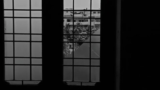 The Broken Window Trailer