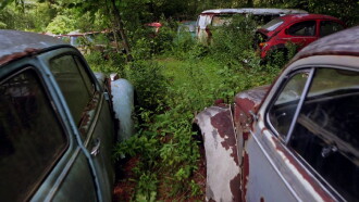 The Bug: Life and Times of the People's Car Trailer