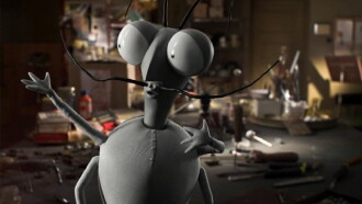 The Bug Trainer Trailer