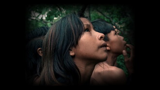 The Buriti Flower Trailer