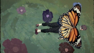The Butterfly Trailer
