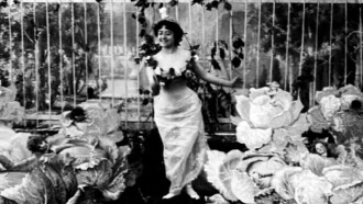 The Cabbage-Patch Fairy Trailer