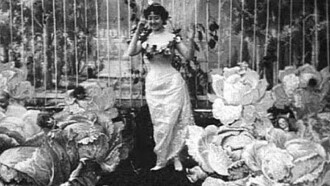 The Cabbage-Patch Fairy Trailer