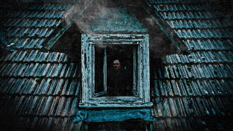 The Cannibal Next Door Trailer