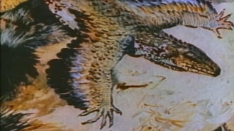 The Case of the Flying Dinosaur Trailer