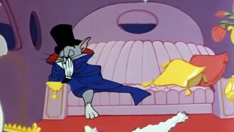 The Cat Above and the Mouse Below Trailer
