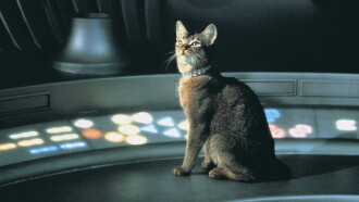 The Cat from Outer Space Trailer