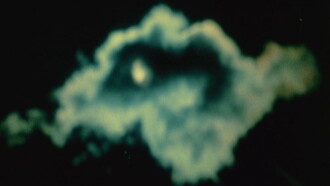 The Cat of the Worm's Green Realm Trailer