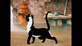 The Cat That Walked by Himself Trailer
