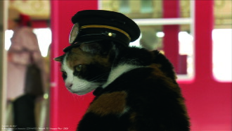 The Cat Way Trailer