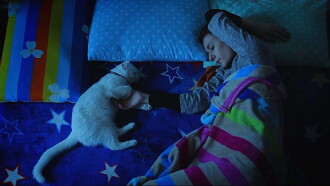 The Cats Trailer