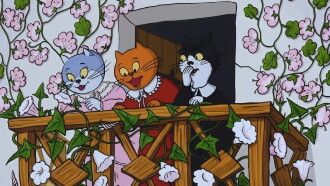 The Cat's Mill Trailer