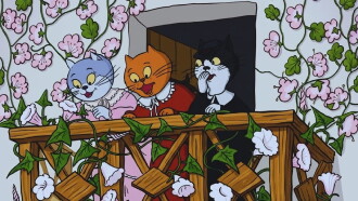 The Cat's Mill Trailer