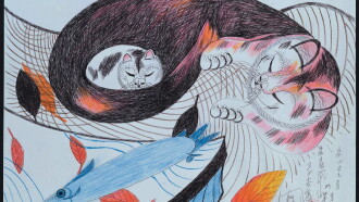 The Cats of Mirikitani Trailer