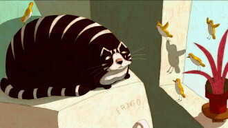 The Cat's Regret Trailer