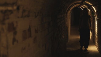 The Cellar Trailer