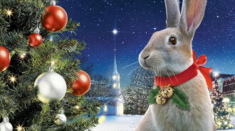The Christmas Bunny Trailer