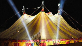 The Circus Trailer