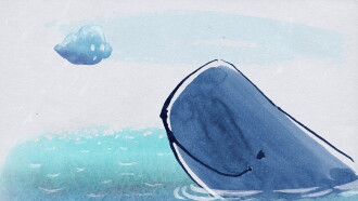 The Cloud and the Whale Trailer