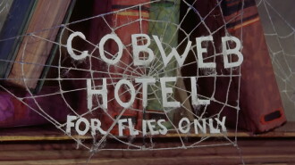 The Cobweb Hotel Trailer