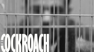 The Cockroach Trailer