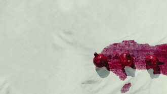 The Color of Pomegranates Trailer