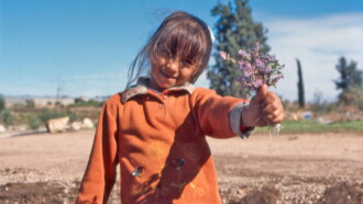 The Colour of Olives Trailer