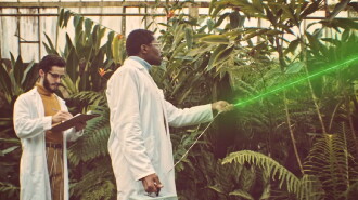 The Cosmic Dope - A Plant Experience Trailer