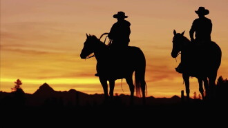 The Cowboy Trailer