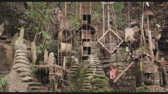 The Creator of the Jungle Trailer