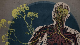 The Creeping Garden Trailer