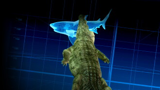 The Croc That Ate Jaws Trailer