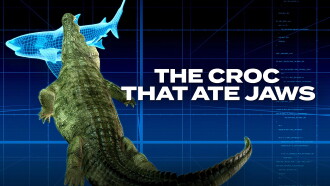 The Croc That Ate Jaws: Ancient Enemies Trailer