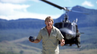 The Crocodile Hunter: Collision Course Trailer