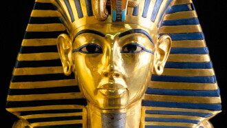 The Curse of Tutankhamun Trailer