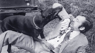 The Daring Dobermans Trailer