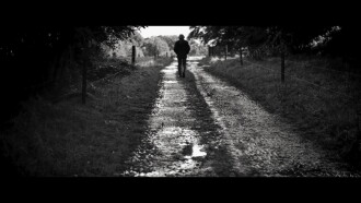 The Days of Trees Trailer